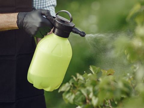 A technician spraying treatment along a hedge line, both hands on the sprayer